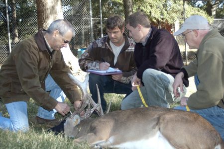 whitetail deer hunting podcast