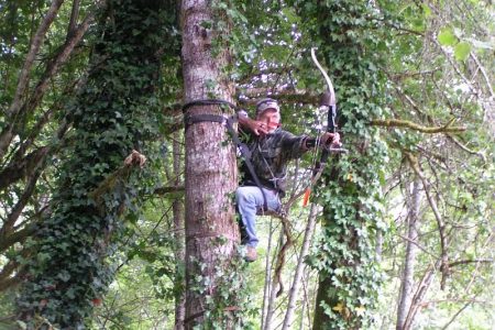 tree saddle how to
