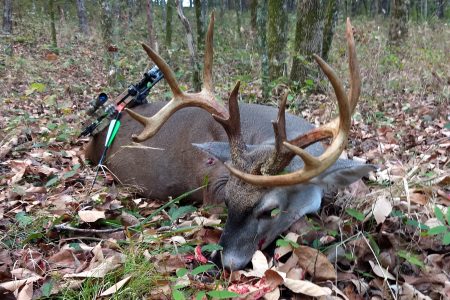 Deer Hunting South