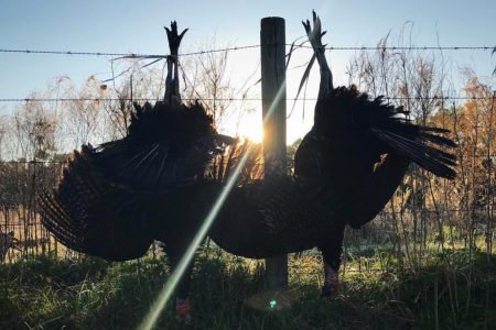 turkey hunting podcast