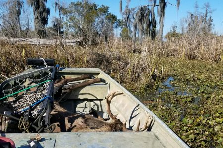 public land swamp bucks